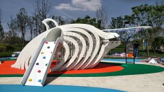 乐鱼体育游乐贵州贵阳龙里案例